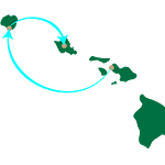 Hawaii 2008 map