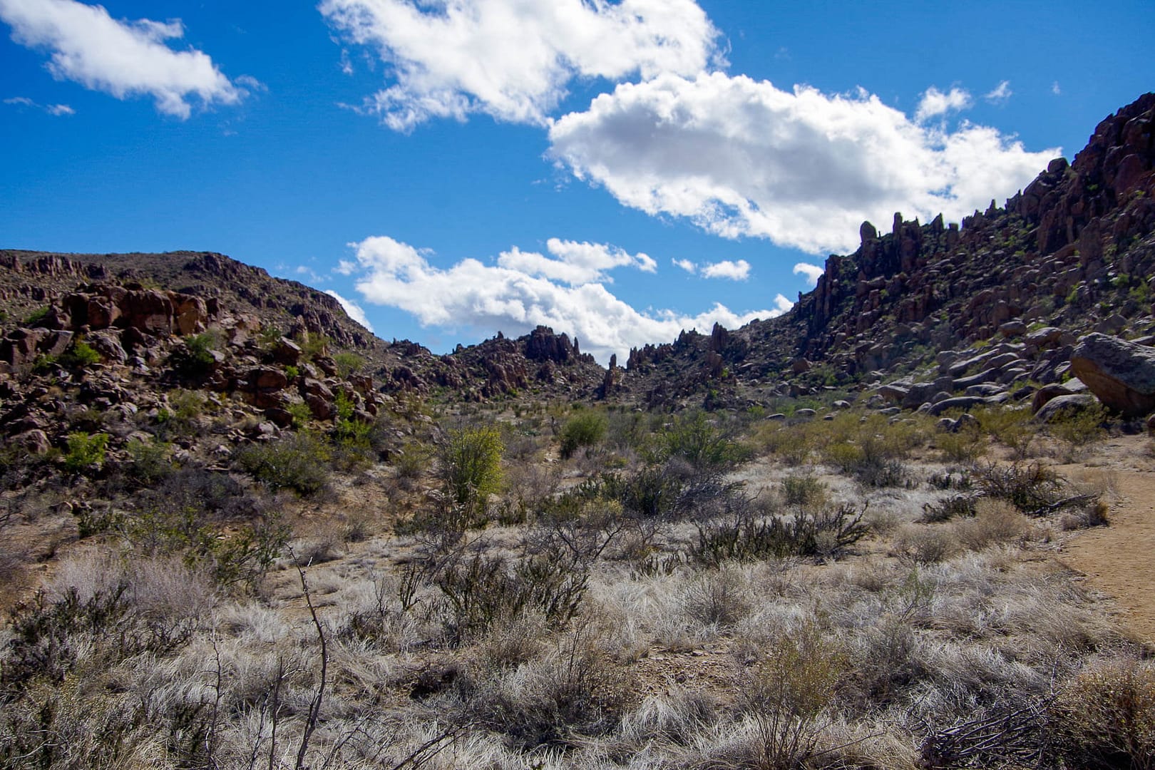 Grapevine Hills hike