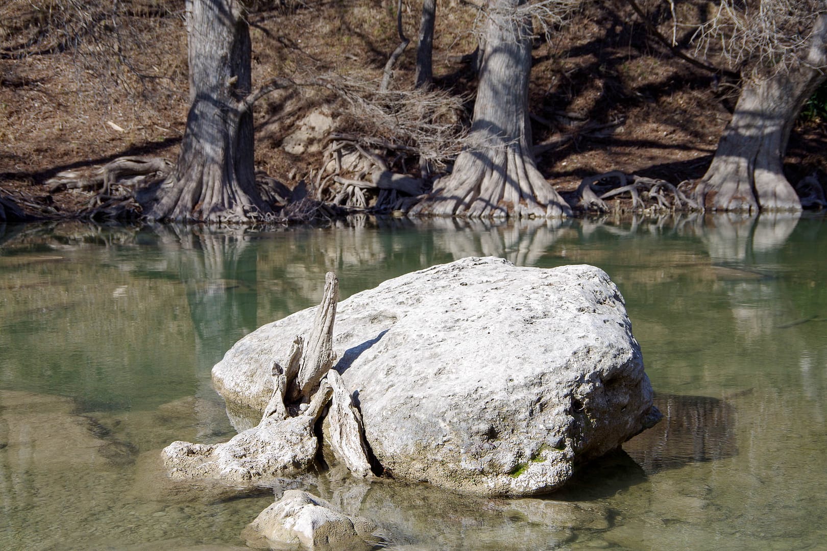 Guadaloupe River