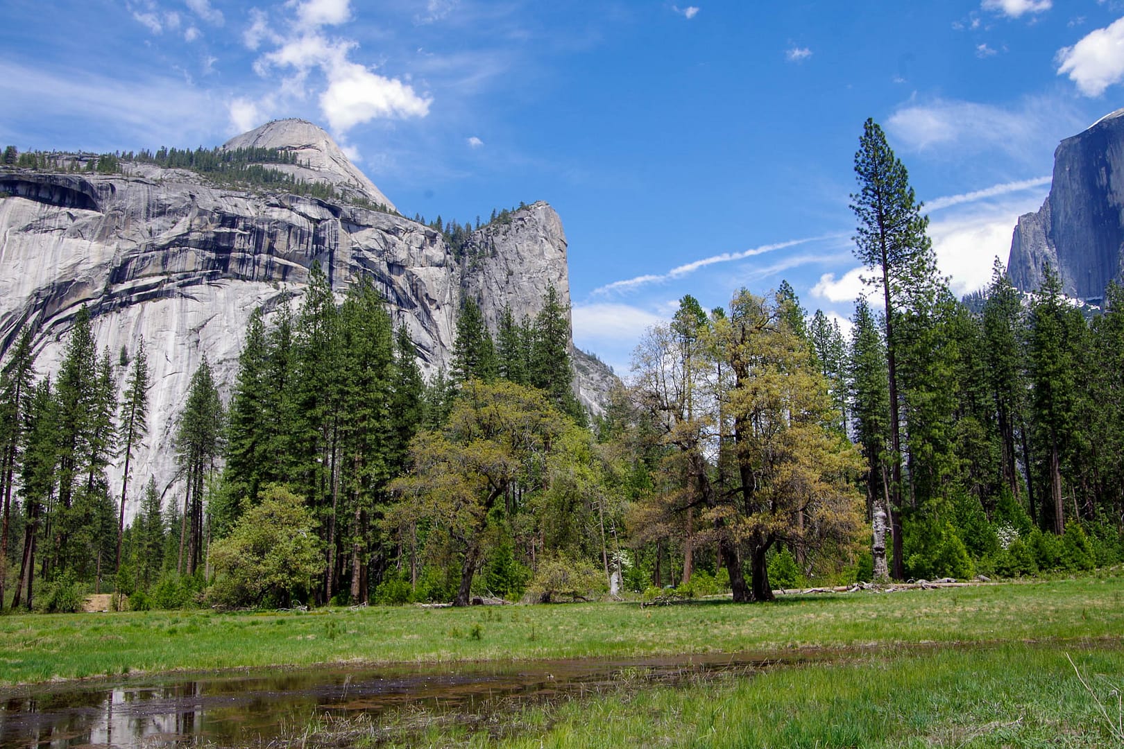 Stoneman Meadow