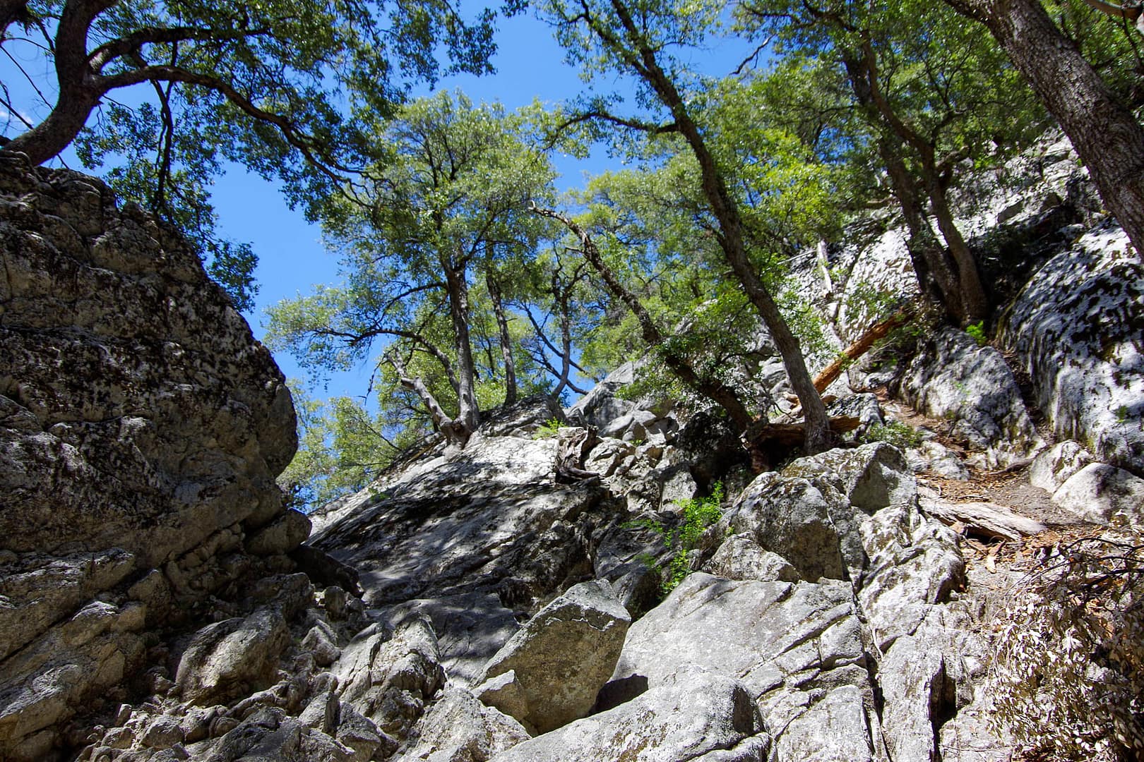 cliff along Mist Trail