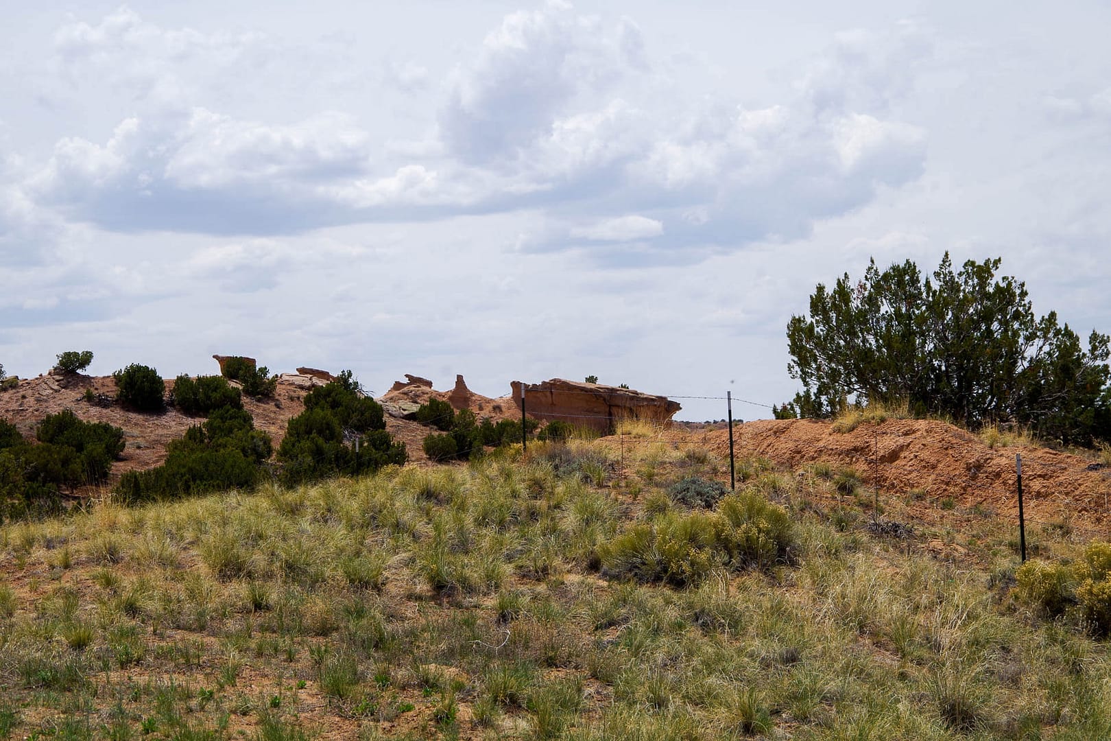 scrubby hills