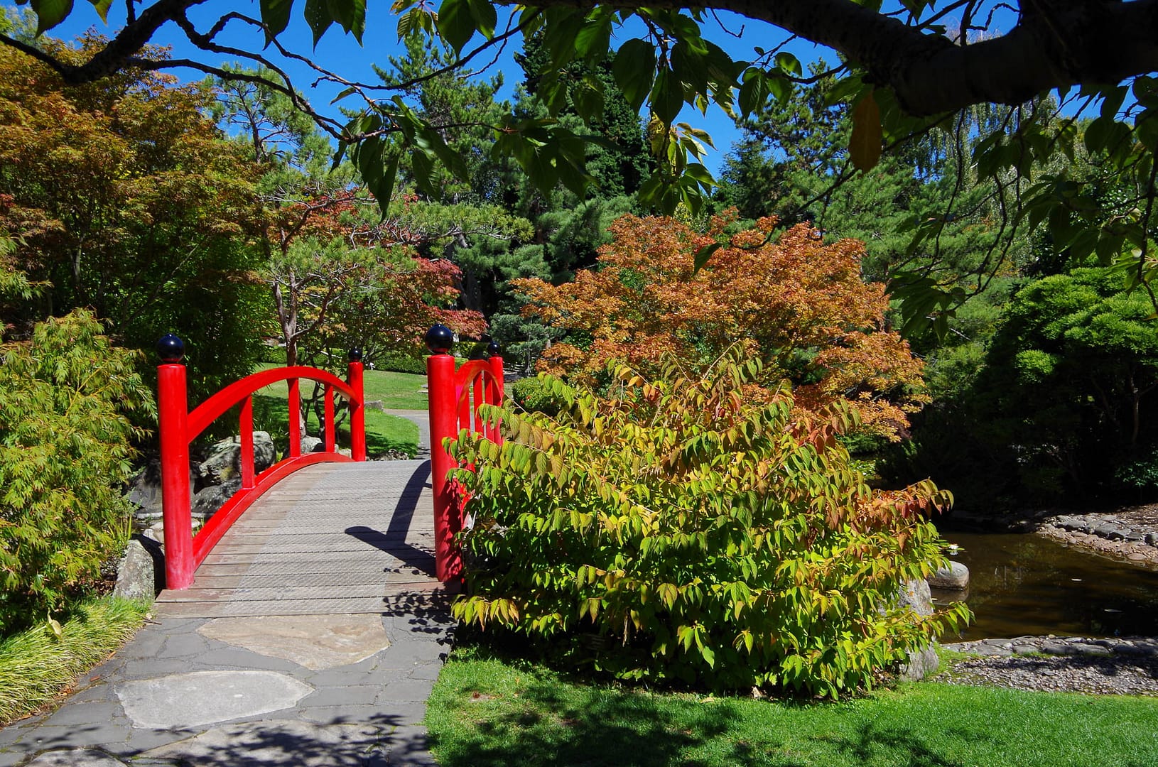 gardens