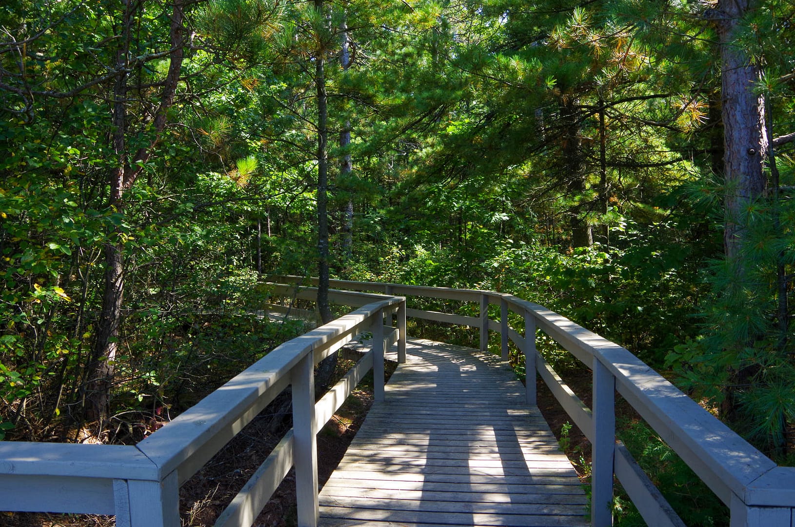 boardwalk to the beach