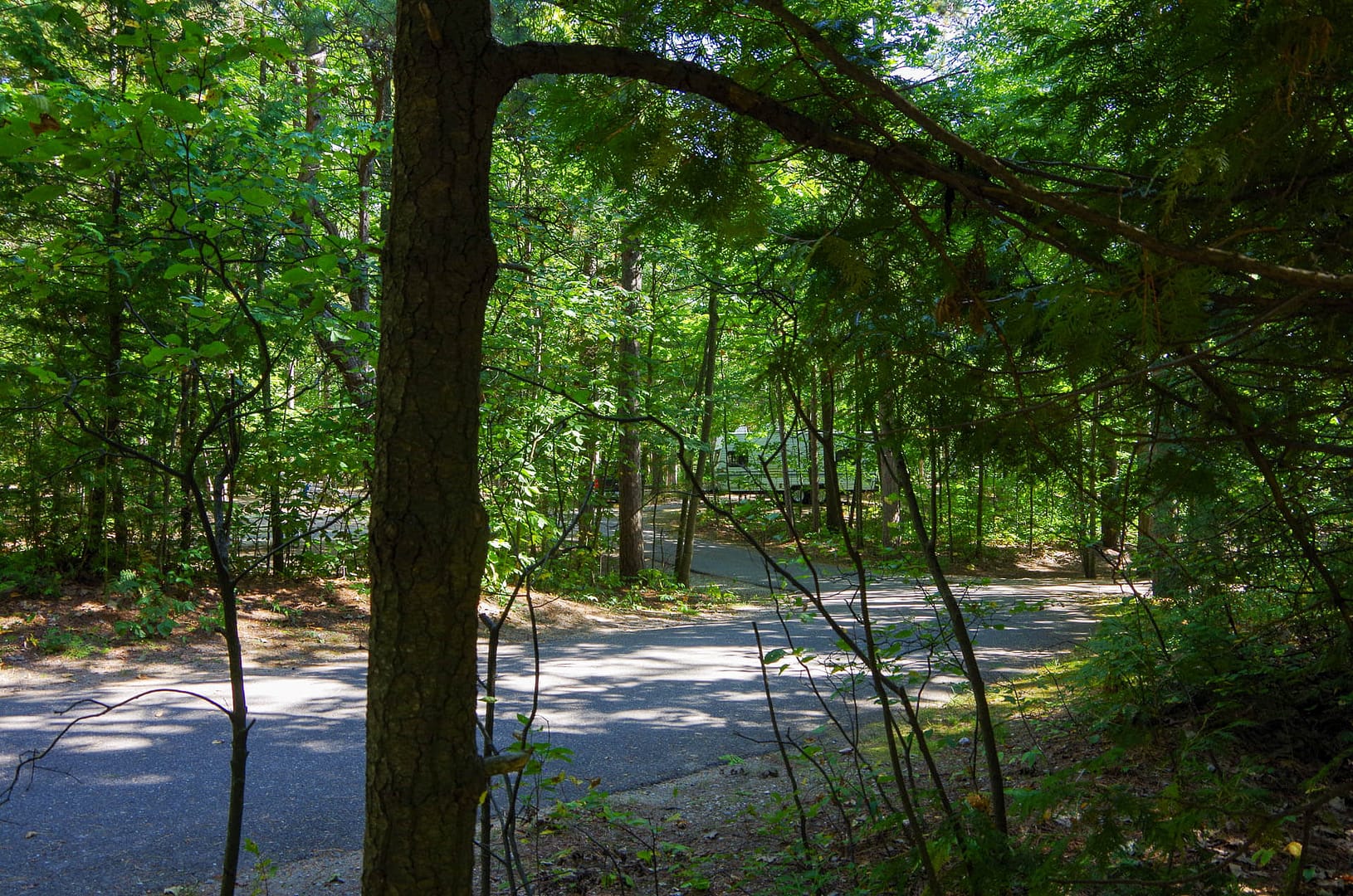 Petoskey State Park campground