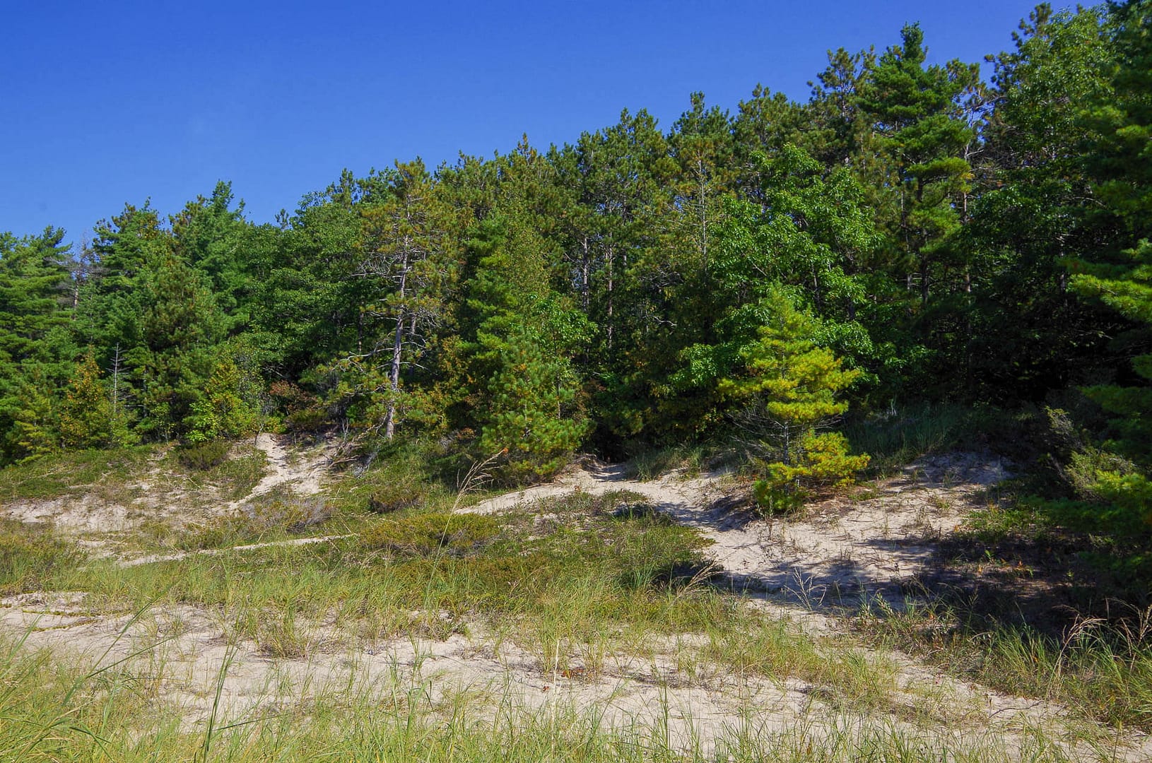 beach at Petoskey State Park
