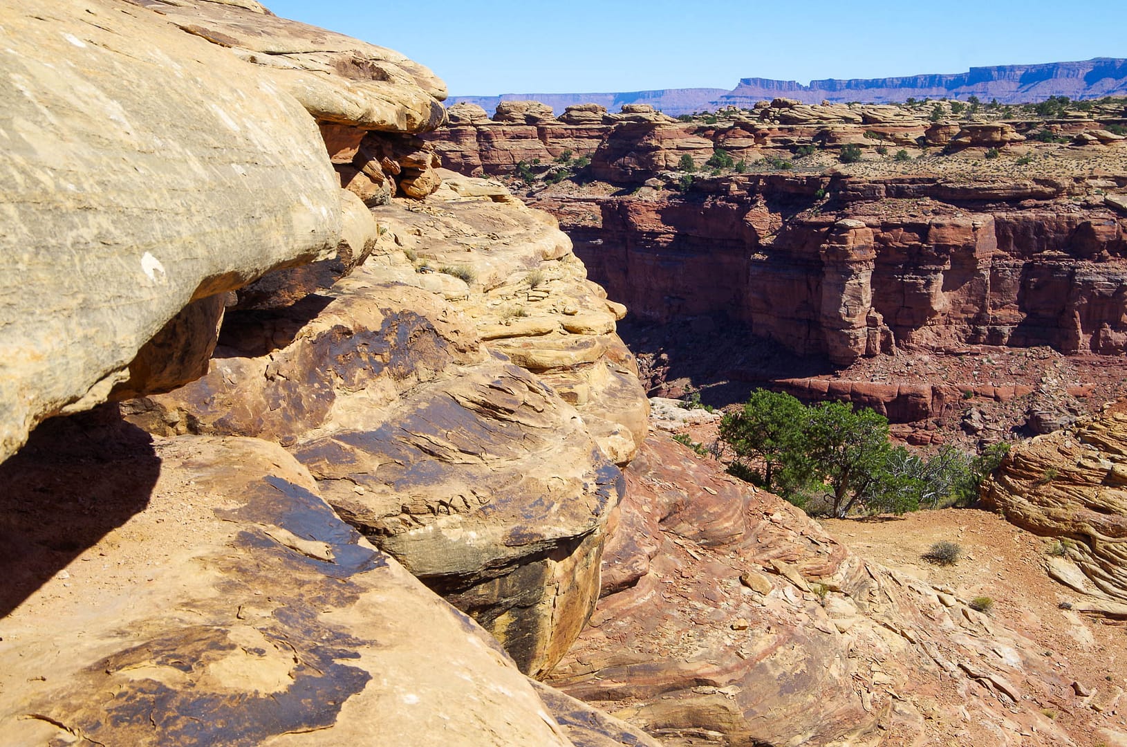 view from trail