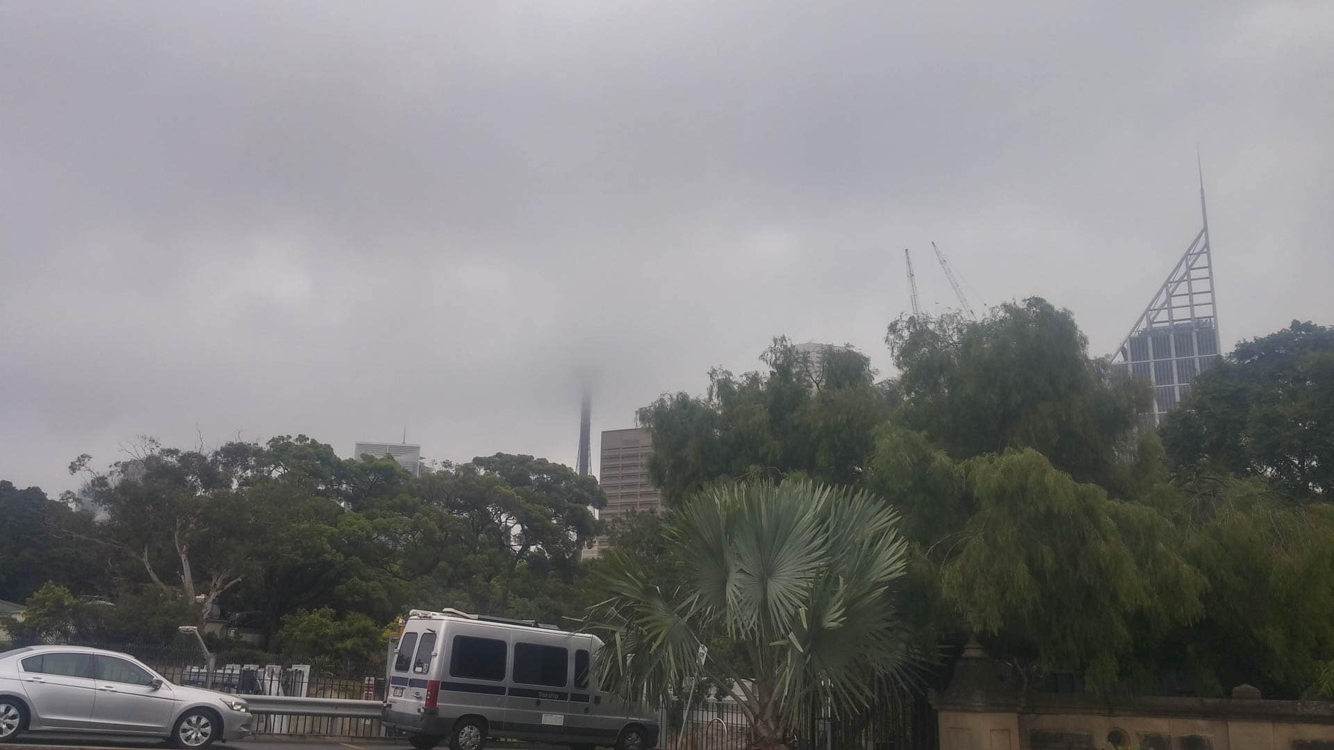 Sydney Eye