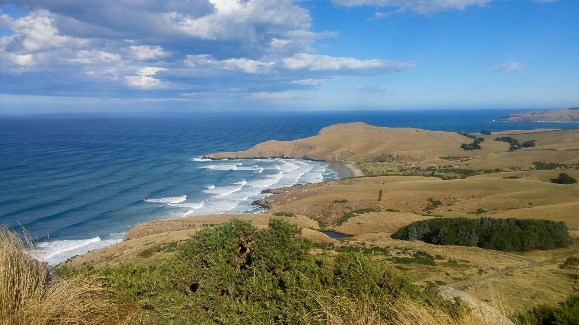 Otago peninsula