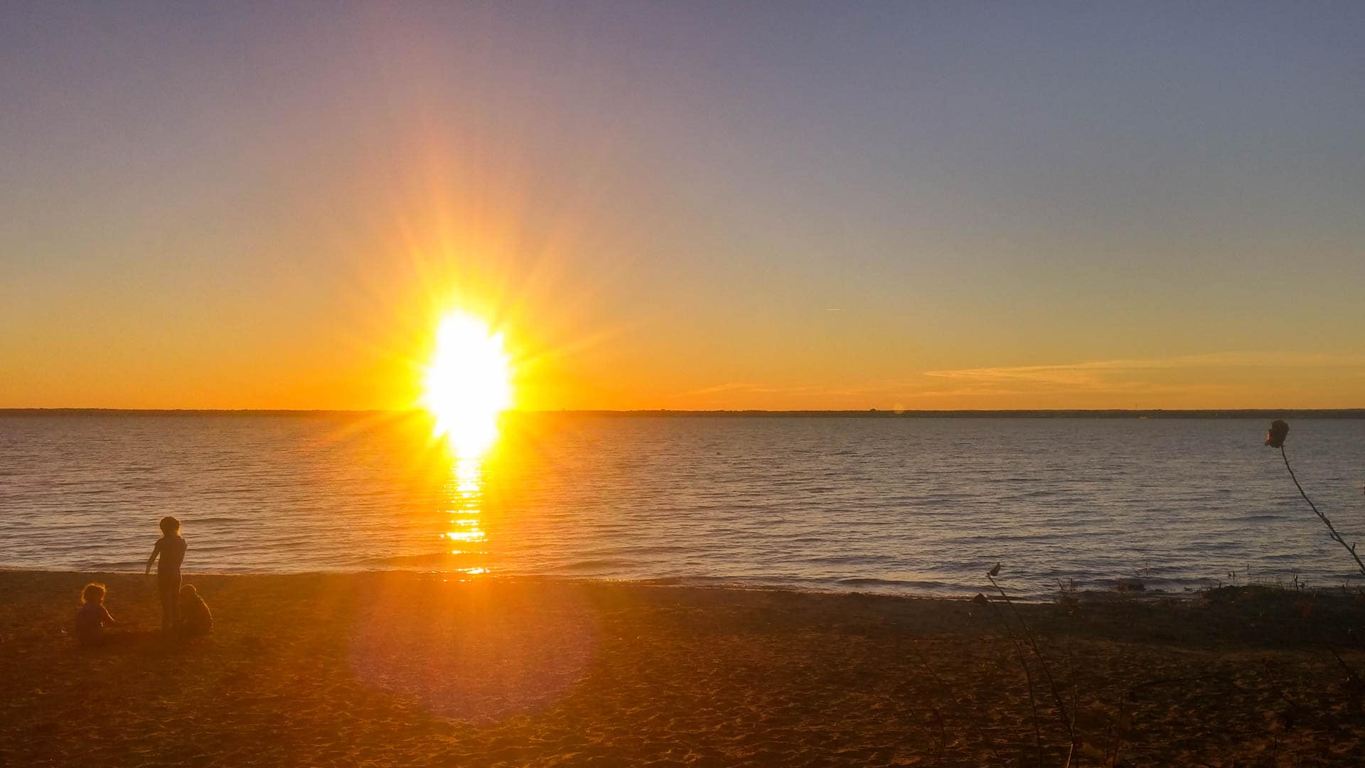 sunset