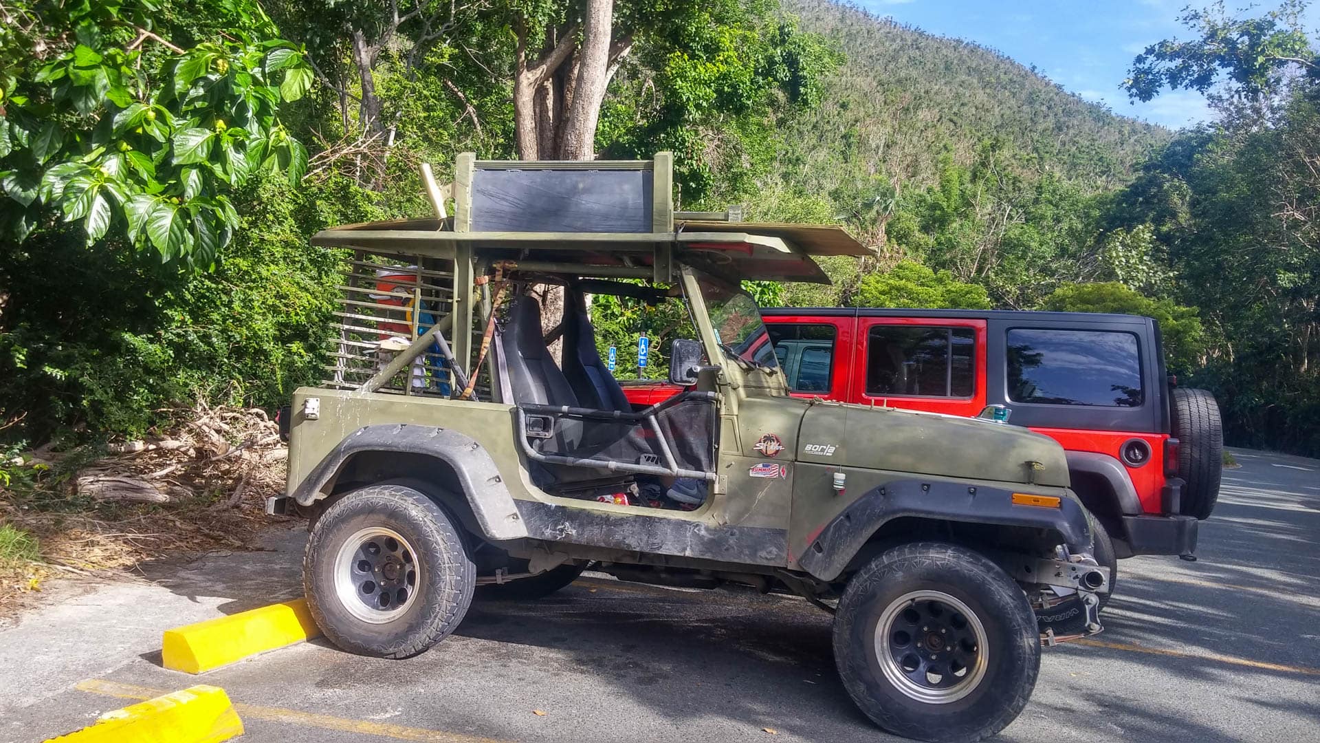 parrot in a Jeep