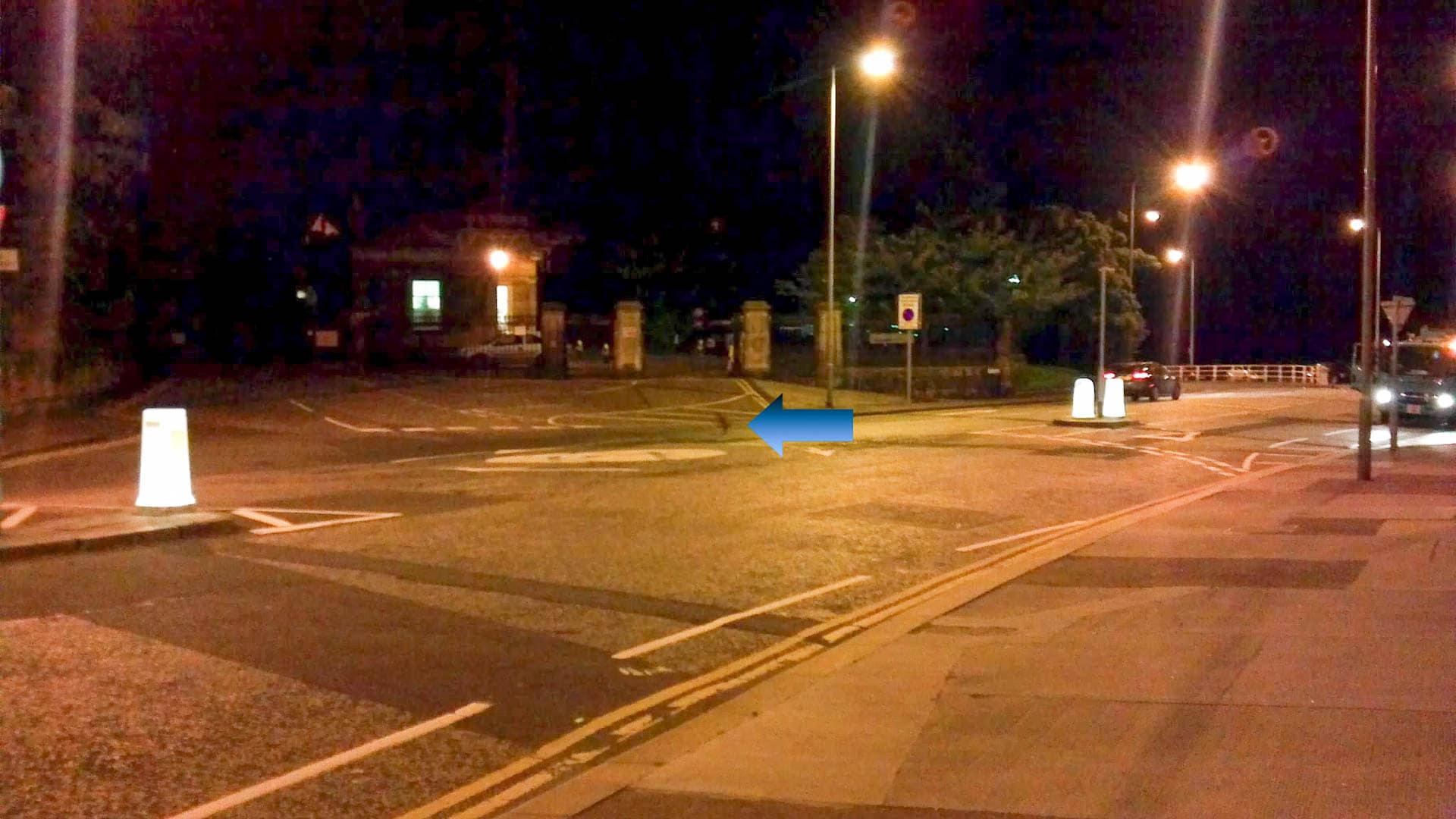 fox in the road