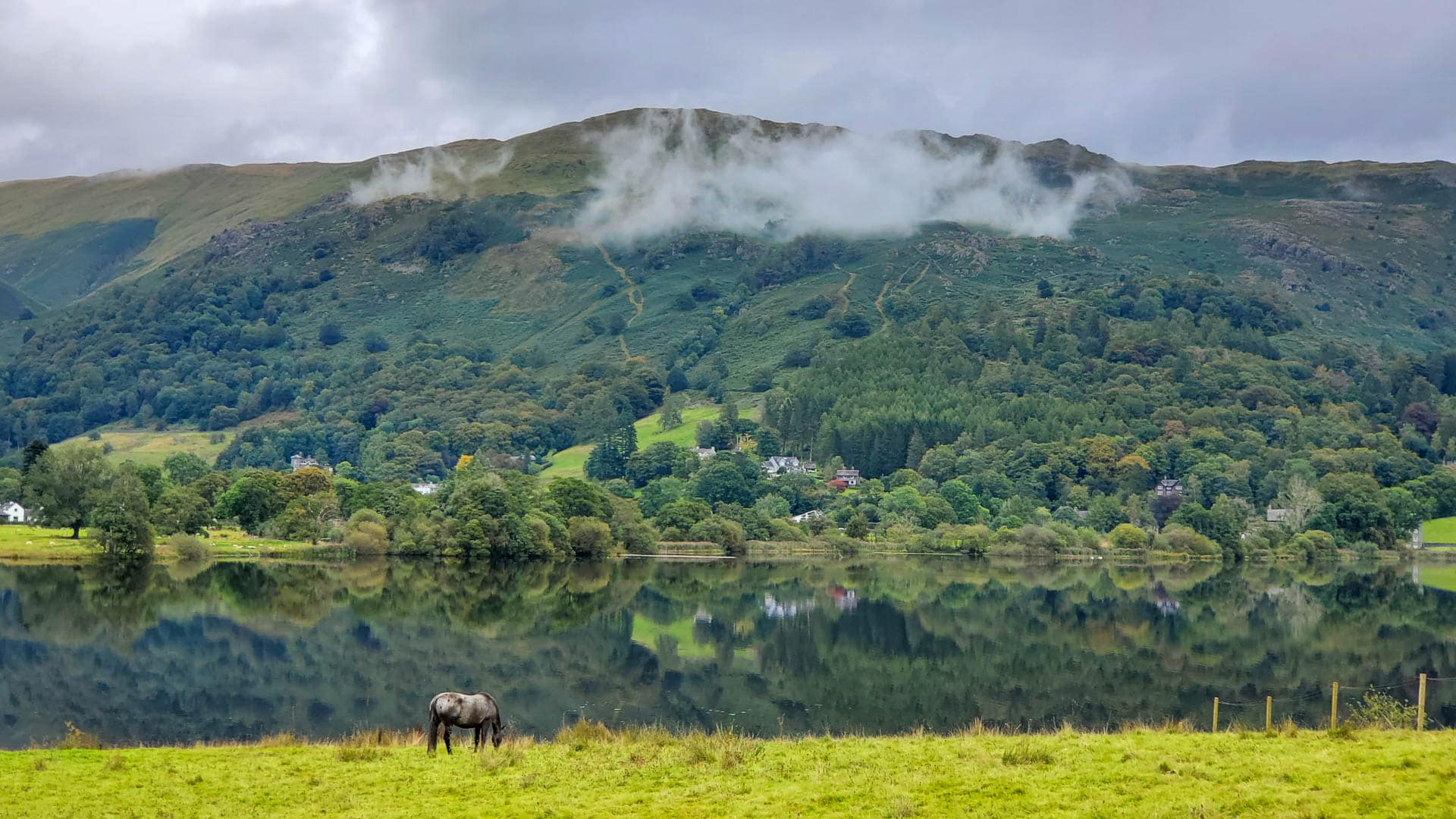horse and mountains