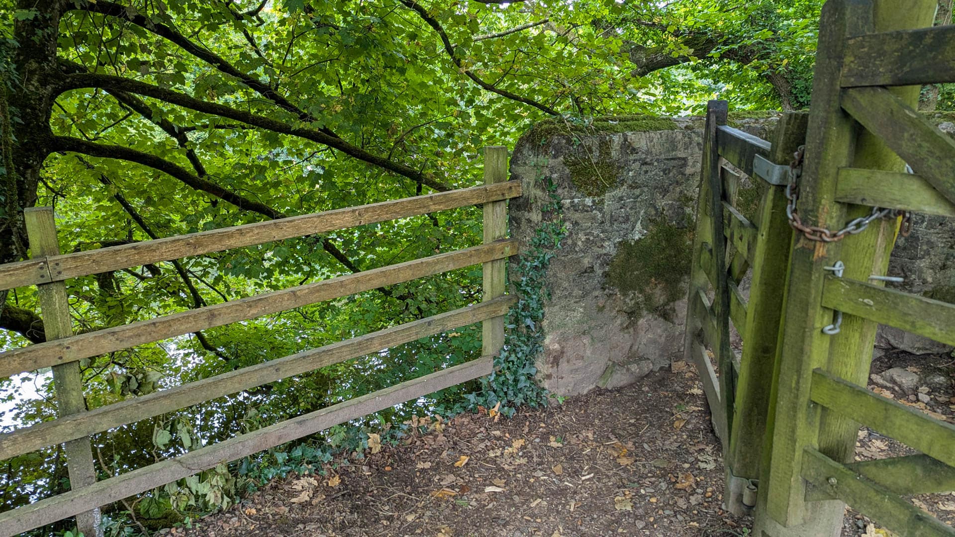 old gate