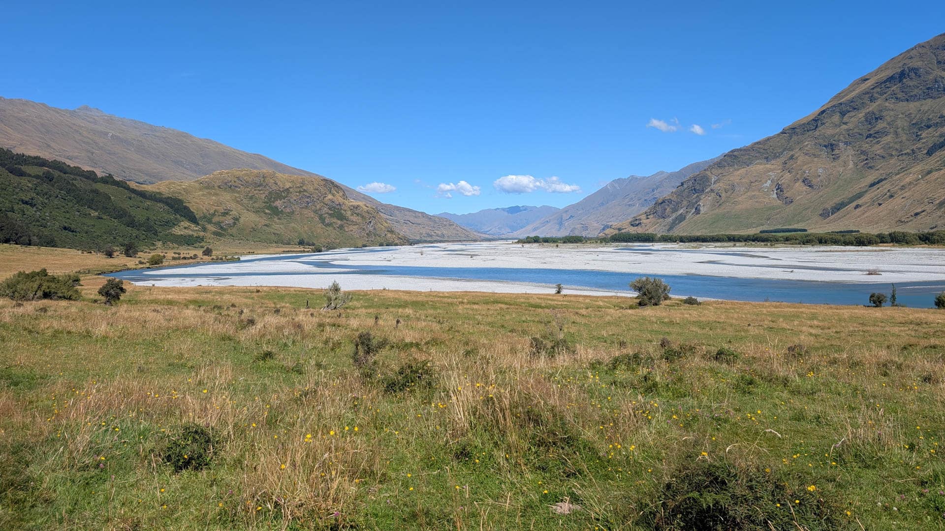 braided river in valley
