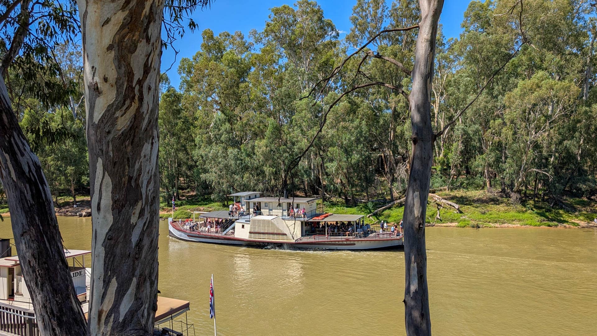 paddle steamer on the river