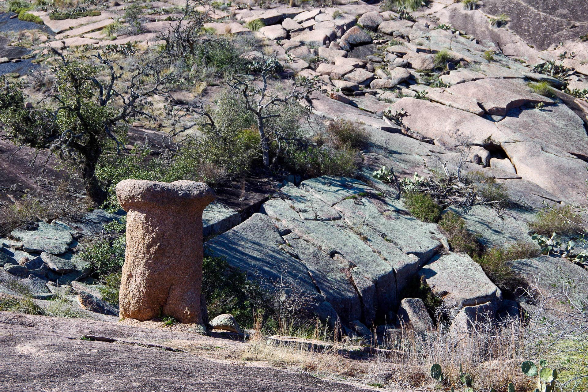 mushroom and other rocks