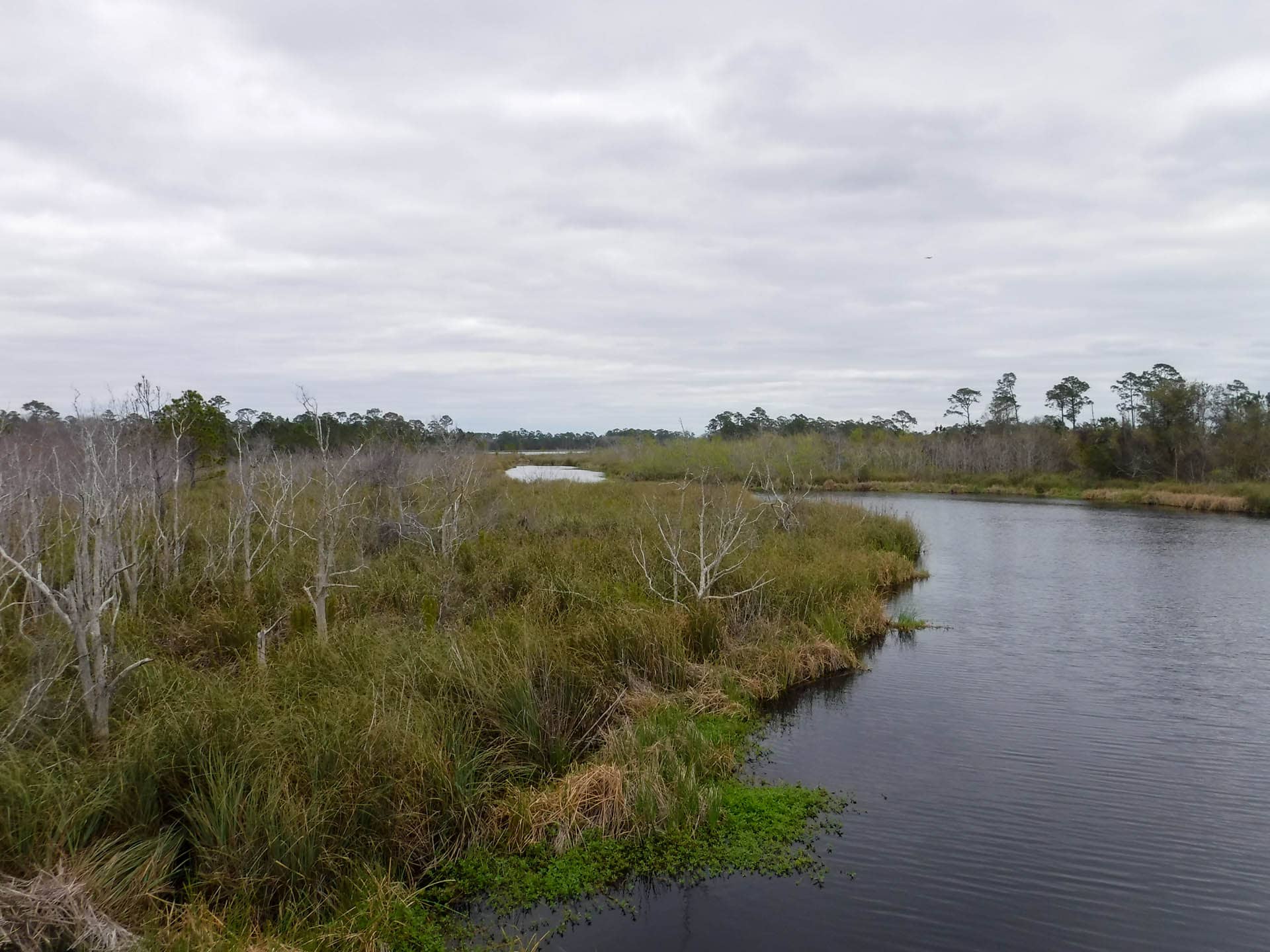 Gulf State Park