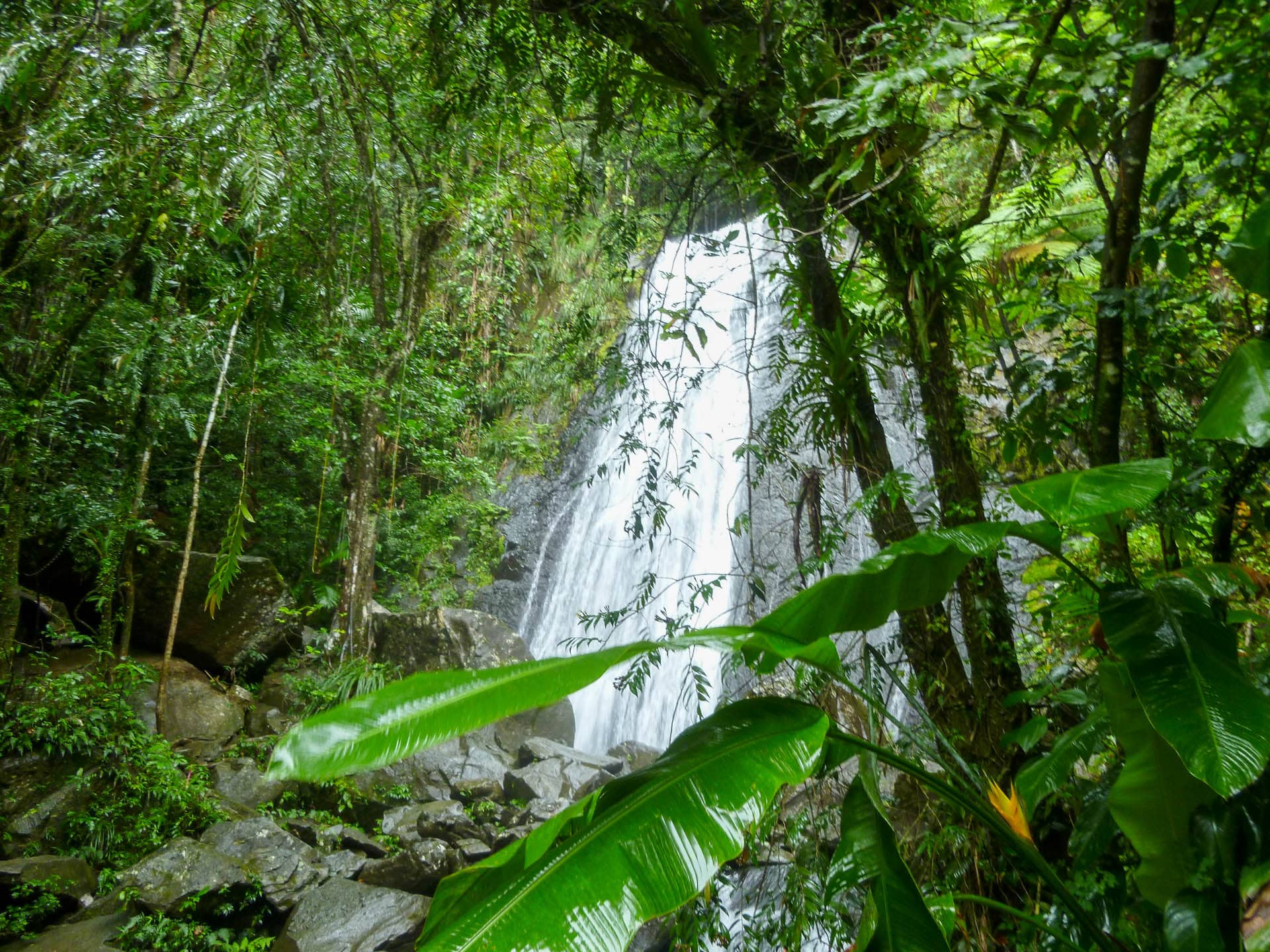 tropical waterfall