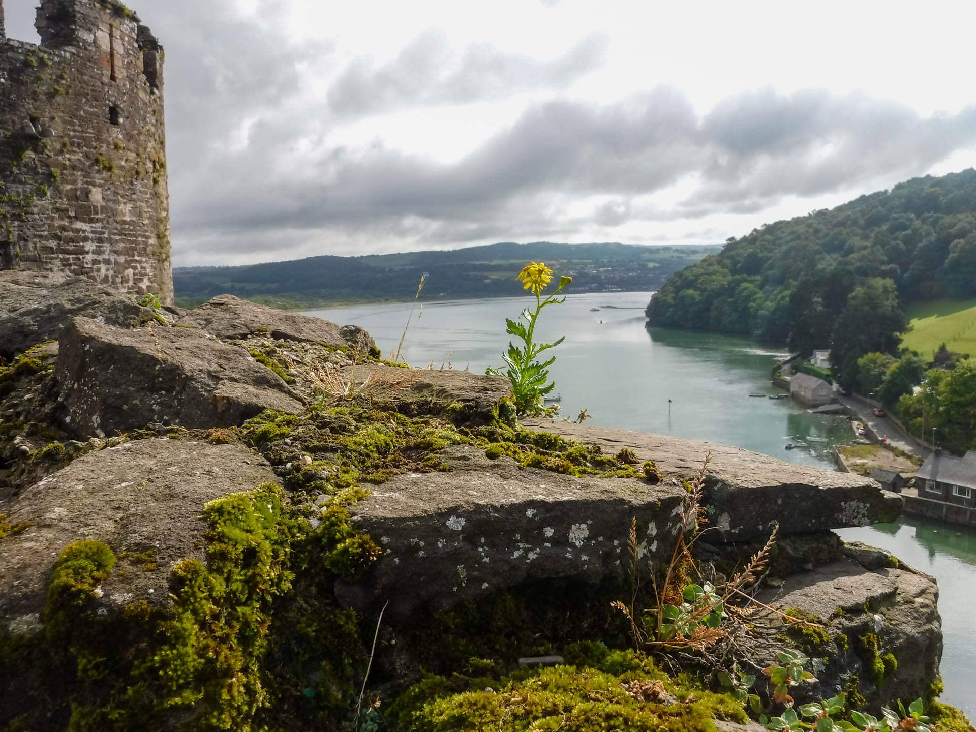 view of estuary from Conwy castle