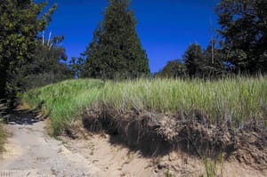 Whitefish Dunes