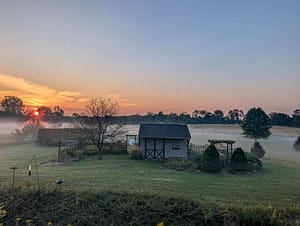 sunrise