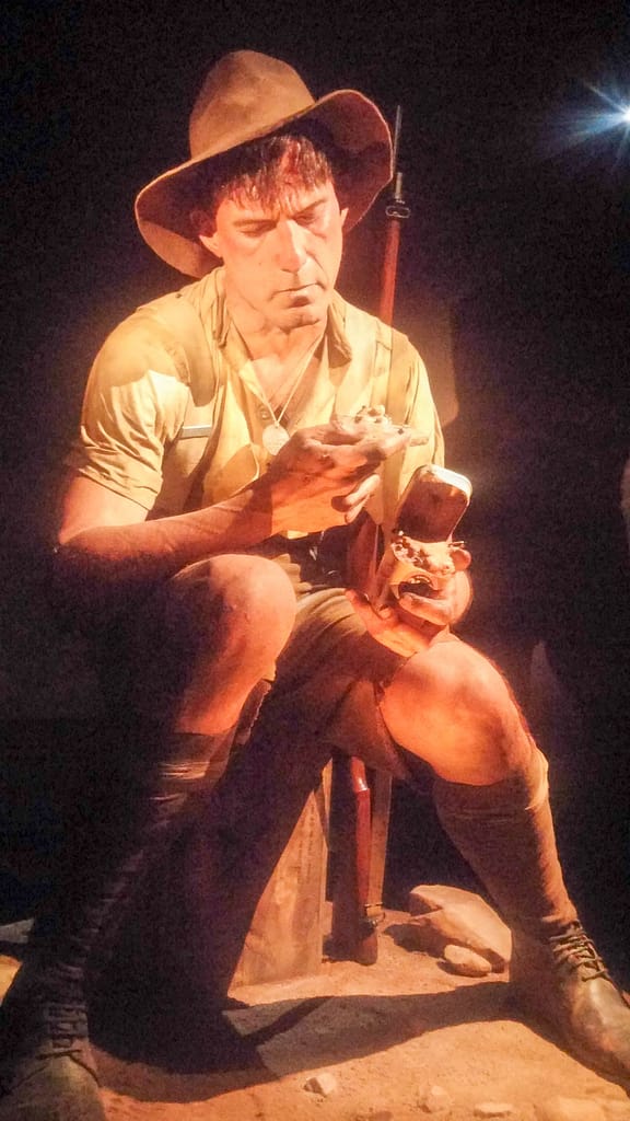 Te Papa museum display