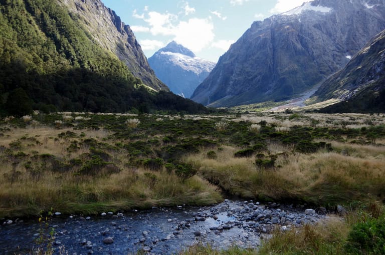 road to Milford Sound