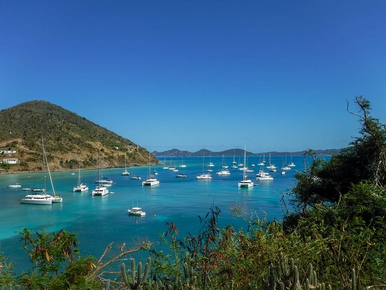 Great Harbour