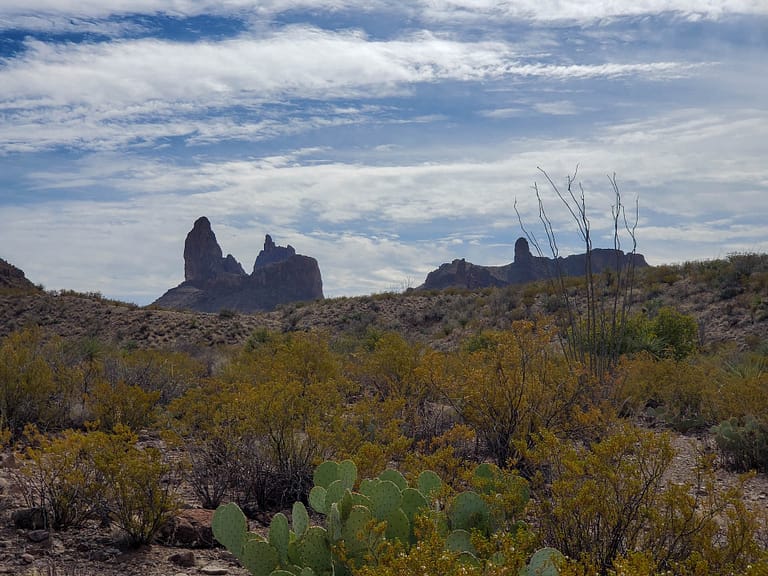 the Mule Ears