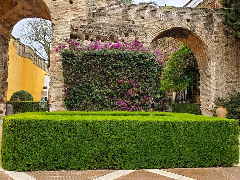 Entrance with hedge