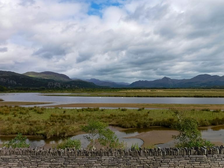 marsh view