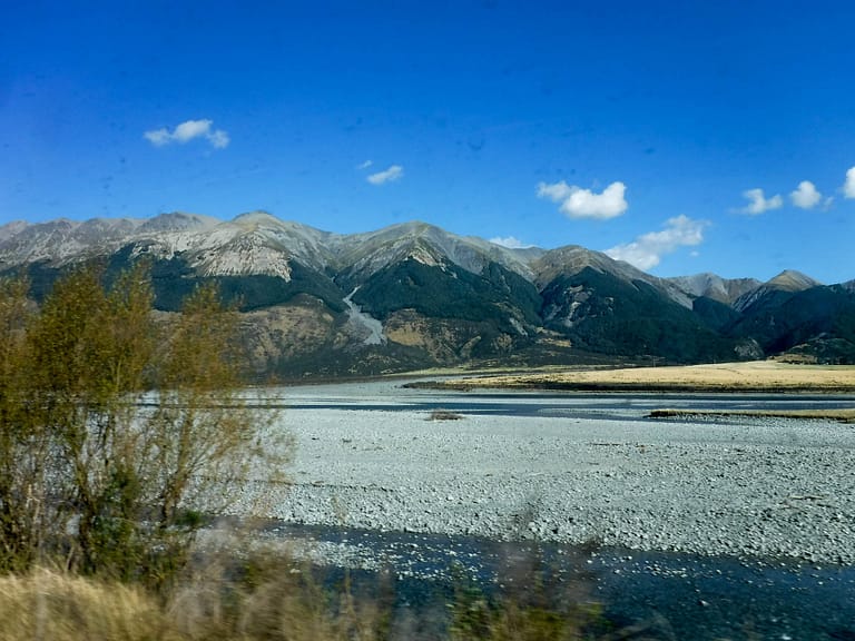 view