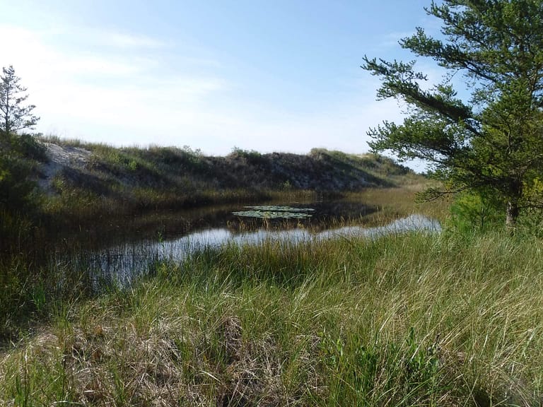 pond in dunes