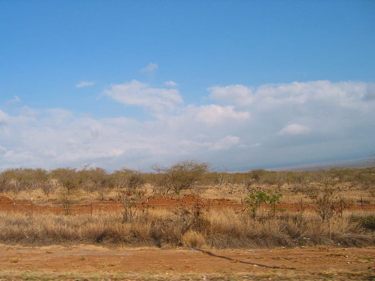 dry earth