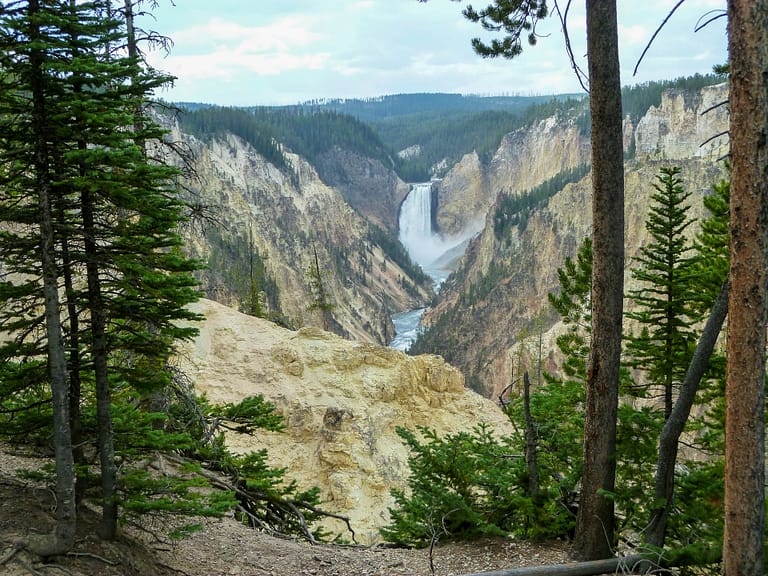 Grand Canyon of the Yellowstone