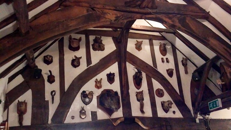 mounted heads