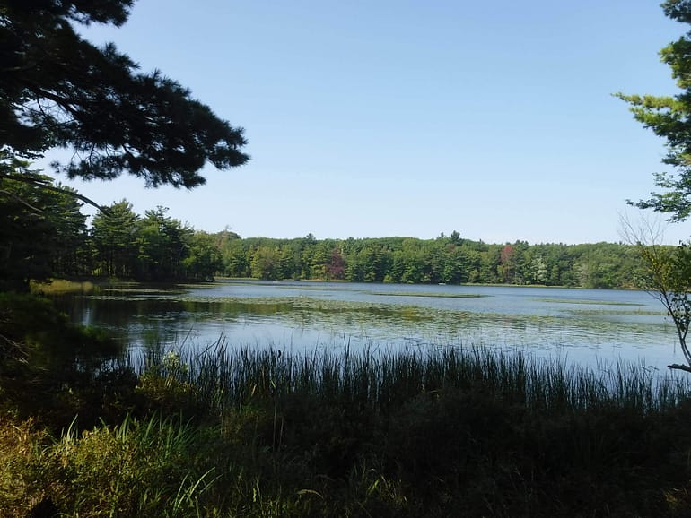Hamlin Lake