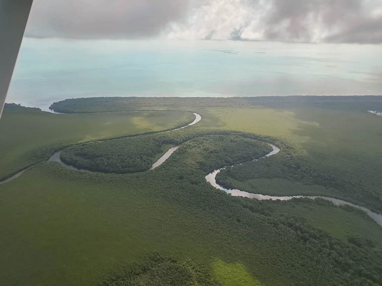 aerial view