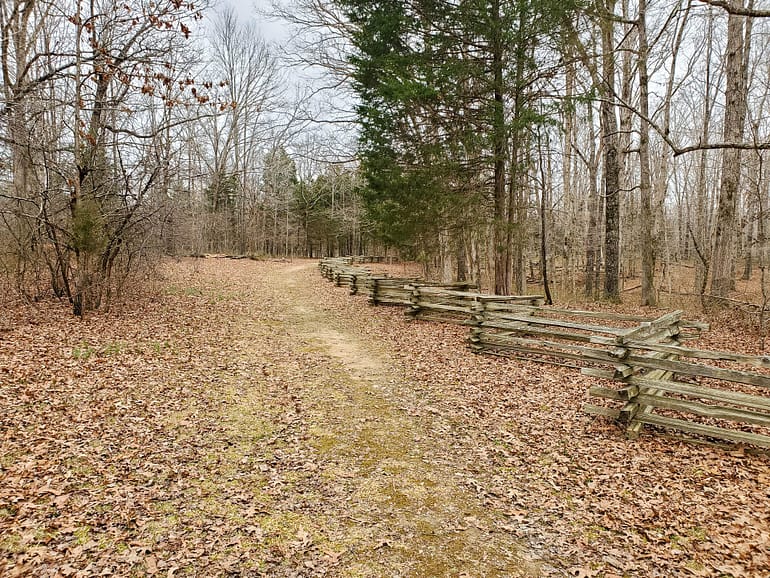 old Trace