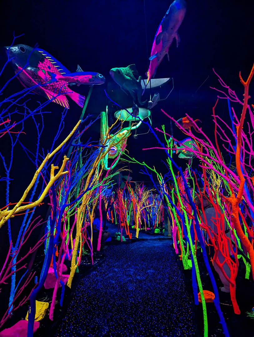 colorful art