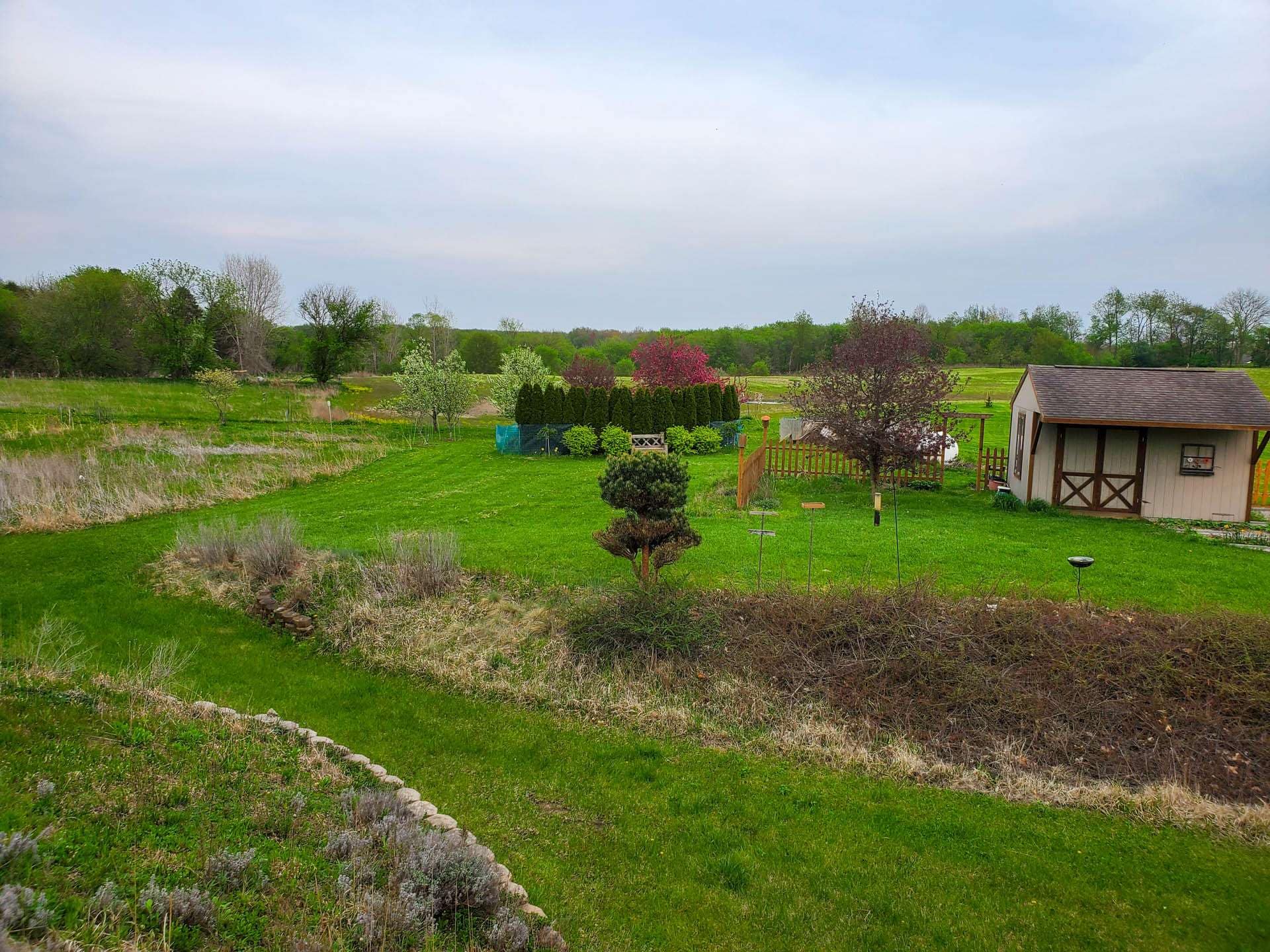 yard with shed and flowering trees