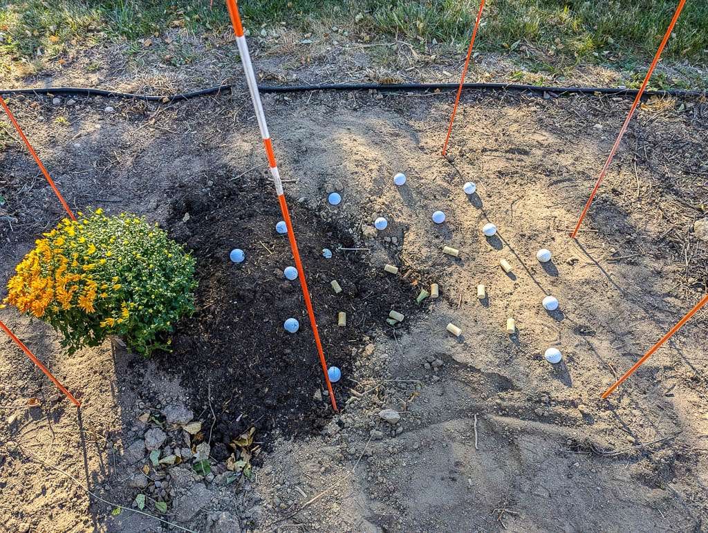 Foundation2026-01 golf balls and wine corks in flower bed