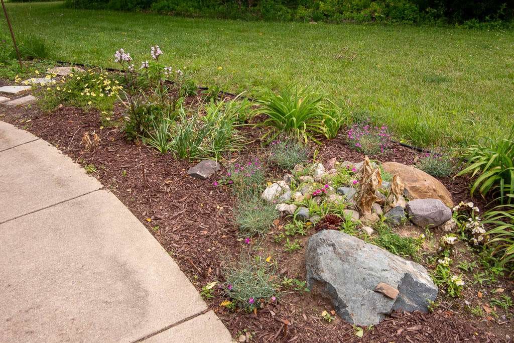 Foundation2026-03 small rocky berm with plants