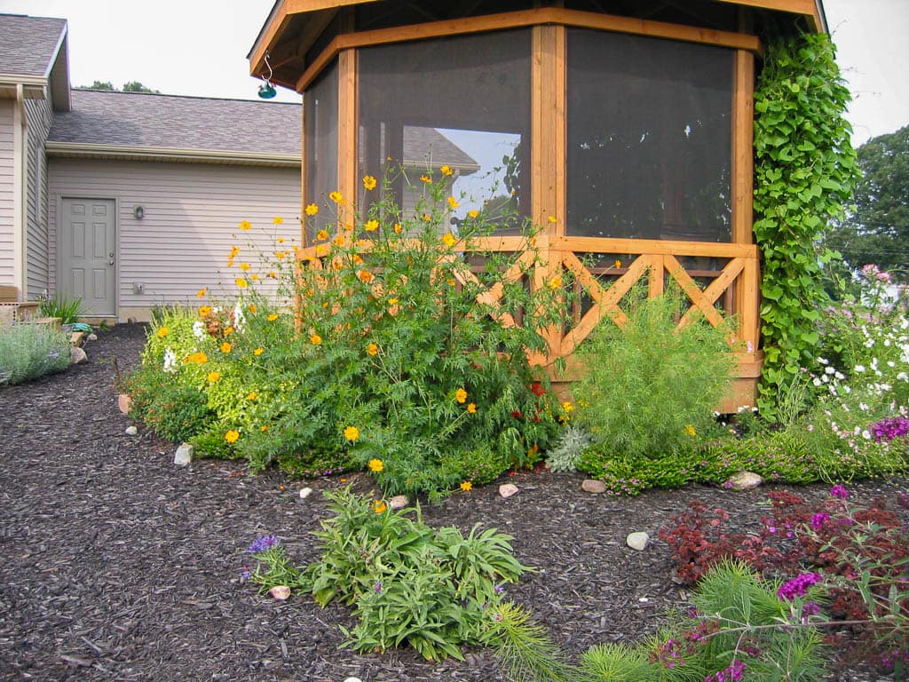 gazebo with cosmos