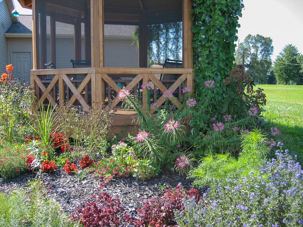 gazebo with pink flowers