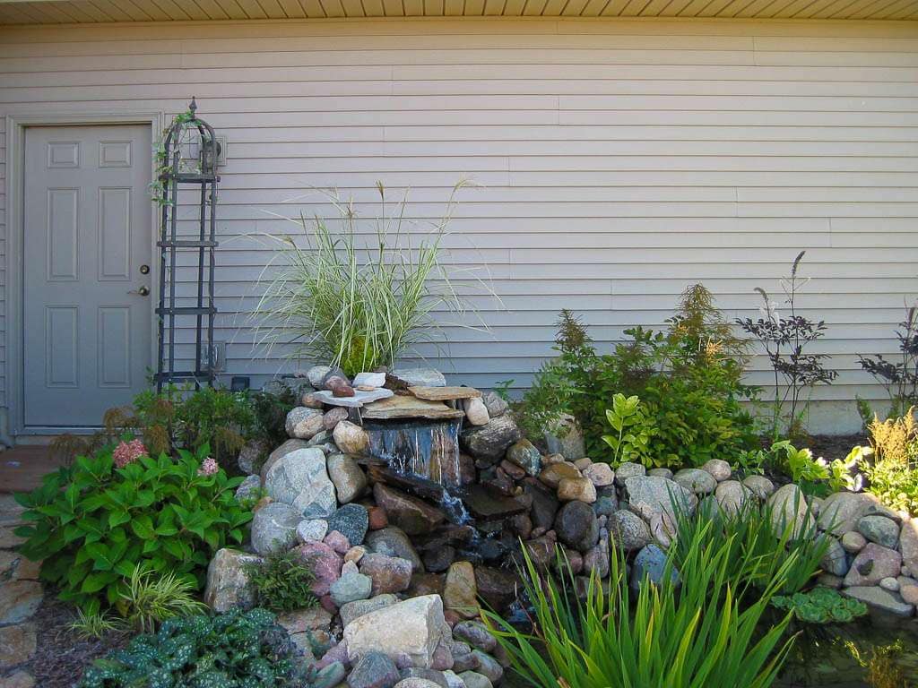 pond closeup