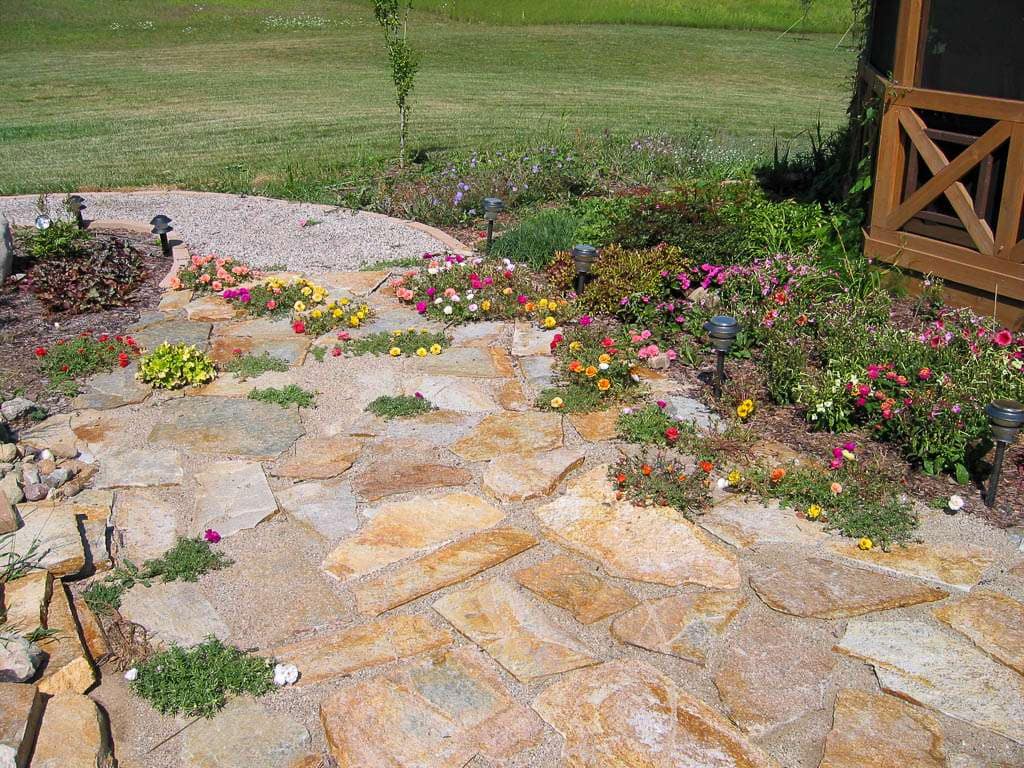 patio with moss rose