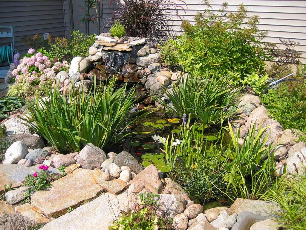 Pond-17 pond