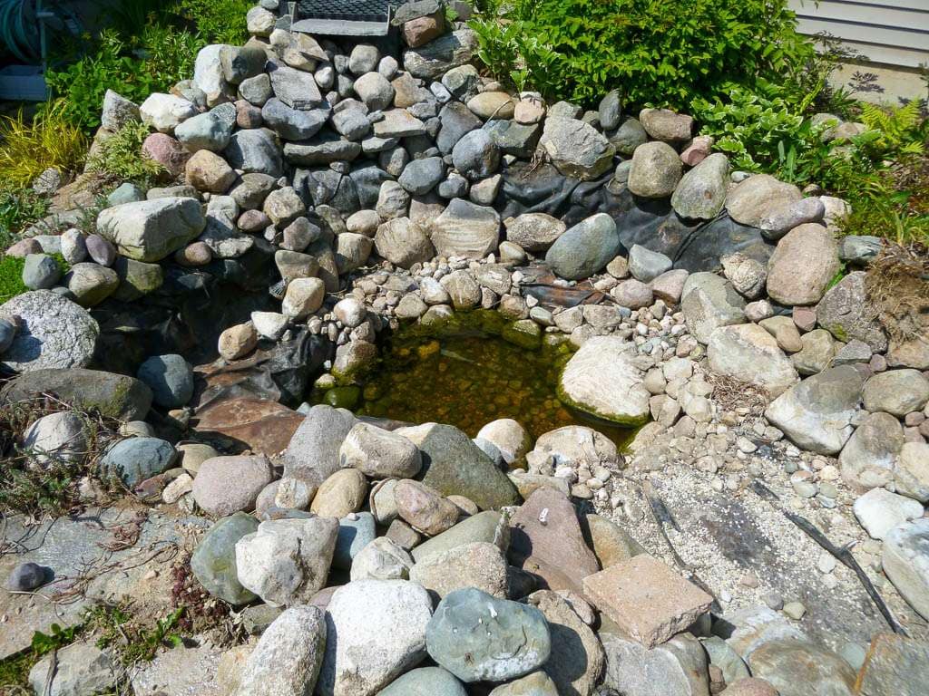 Pond-19 pond structure
